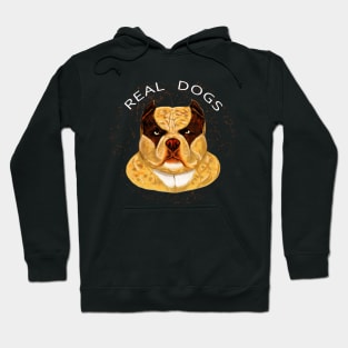 Pitbull Hoodie